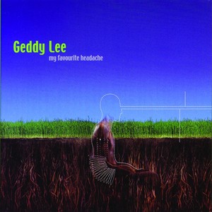 Release cover